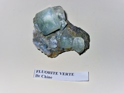 FLUORINE verte bisautée