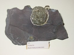 PYRITE sur ardoise Bilbassa