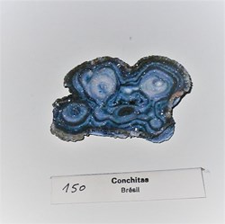 CONCHITAS du Brésil