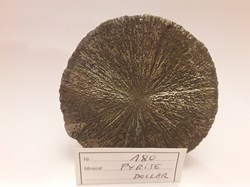PYRITE dollar