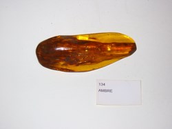 AMBRE