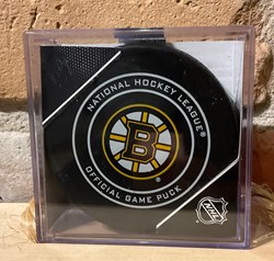 Rondelle Bruins de Boston