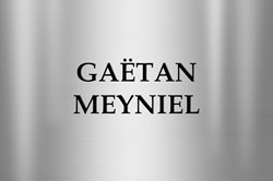 Meyniel