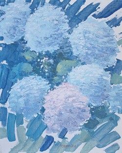 Hortensias à Dinan (Charles Cambier)