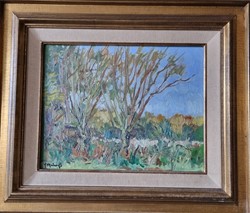 La forêt du Laarbeek à Jette (Jo Malcorps)