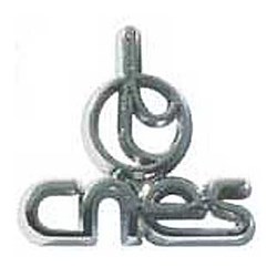 Pin's CNES