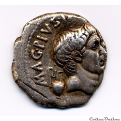 POMPEIUS CNOEUS POMPEIUS MAGNUS
