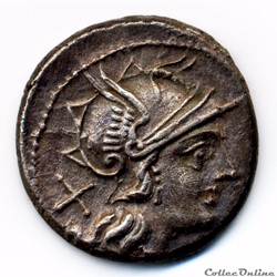 ATILUS SARANUS