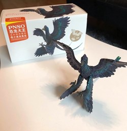 "Gaoyuan" le Microraptor, PNSO, 2020