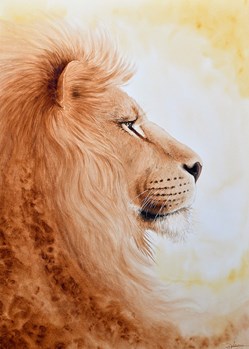 Panthera Leo