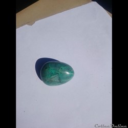 Chrysocolle