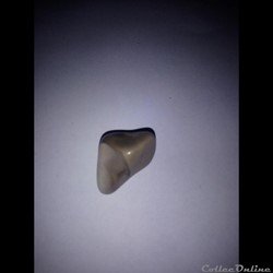 Silex