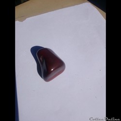 Oeil de taureau
