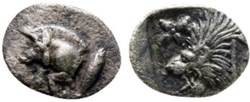 *Cyzique / Tétartemorion / Protomé de sanglier à gauche  - Tête de lion à gauche.