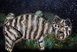"Cat EMALA"