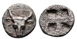 Lamponeia / Hemiobole / Bucrane - Carré creux.