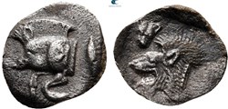 Cyzique / Hémiobole / Protomé de sanglier à gauche - Tête de lion à gauche.