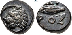 Chersonèse  / Quart d'Unité / Tête de lion à gauche - XEPPO, grain d'orge.