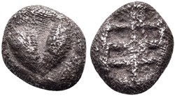 Cyrène / Hémidrachme / Fruit de Silphium - Carré creux.