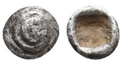 Erythrée? - Trihémitartemorion - Spirale  - Carré creux