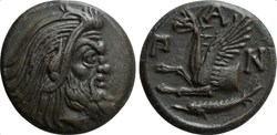 M Chersonèse Taurique-Unité -Tête de satyre à droite - protomé de griffon