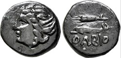 Sarmatie / Olbia / Demi Unité / Tête de Demeter - Epi de blé et Dauphin.