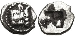 Acanthe-Hémiobole-Tête et cou de bœuf à droite - Carré creux.