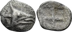 M Cyzique / Hemiobole / Tête de thon à droite - Carré creux