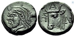 Chersonèse Taurique - Panticapée / Unité / Tête de Silène - Tête et cou de taureau à gauche.