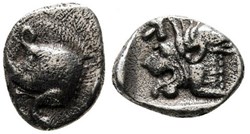 Cyzique / Obole / Protomé de sanglier à gauche - Tête de lion à gauche.