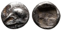 M Néandria / Trihemitartemorion / Casque à gauche - Carré creux.