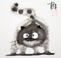 " Le chat Malin "