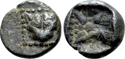 M Milet / 1/32 eme de statère / Tête de Lion - Motif Stéllaire dans carré creux