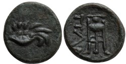 M Chersonèse Taurique-Unité - Aile de Griffon-Tripode.
