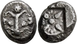Cyrène / Drachme / Arbre de Silphium - Motif floral.