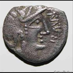 Cavalier du Rhone - DT.3151