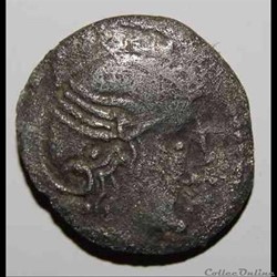 Cavalier du Rhone - DT.3157