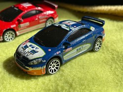 #7 Peugeot 307 WRC
