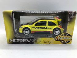 Renault Megane Trophy 2005 Cesam