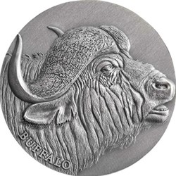 2022 - Buffalo Expressions of Wildlife 2 oz Antique finish Silver Coin Cameroon