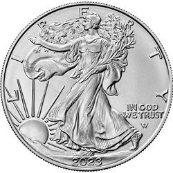 2022 1oz American Silver Eagle Coin - Type 2 Eagle Landing