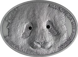 2013 - Fascinating Wildlife #2 - Giant Panda Bear $10 Pure Silver Oval Antique Proof