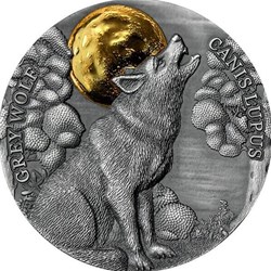 2021 - Grey Wolf Wildlife in the Moonlight 1/2 oz Antique finish Silver Coin Ghana