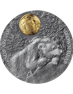 2023 - Brown Bear Wildlife in the Moonlight 2 oz Antique finish Silver Coin Niue