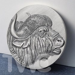 2022 - Buffalo Expressions of Wildlife 2 oz Antique finish Silver Coin Cameroon
