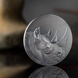2023 - Black Rhino Expressions of Wildlife 2oz Antique finish Silver Coin Cameroon