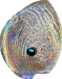 2012 - Sea Treasures Haliotis Iris Silver Proof With Pearl