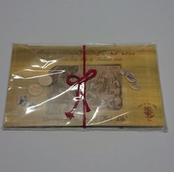 1993 - Circulation coin panel Complete set and Zodiac coin (The Year of the Tiger)