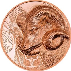 2021 - 50g Copper Mongolia - ARGALI Wildlife - Series Wild Mongolia