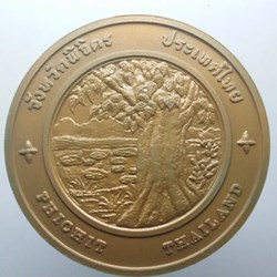 commemorative coin, medal of PHICHIT province size 7 cm